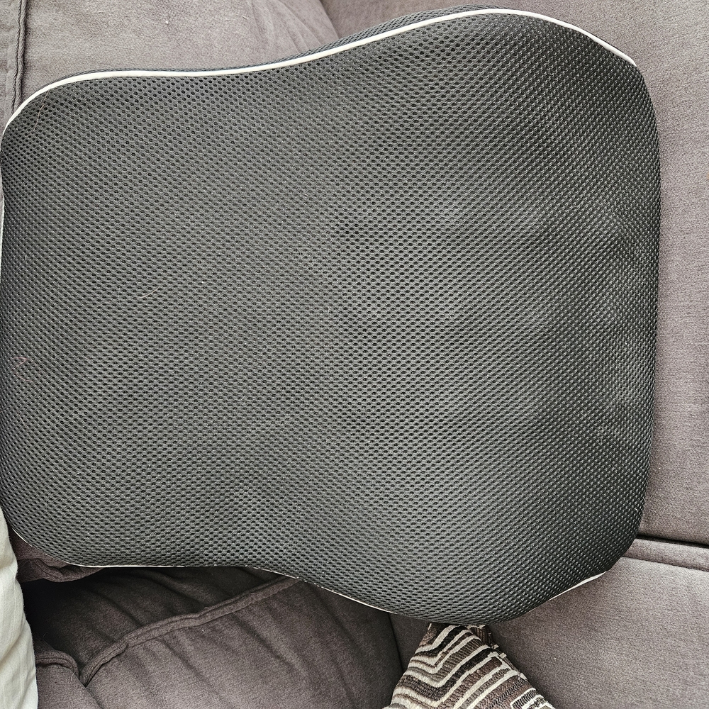 Black Mesh Lumbar Support Cushion